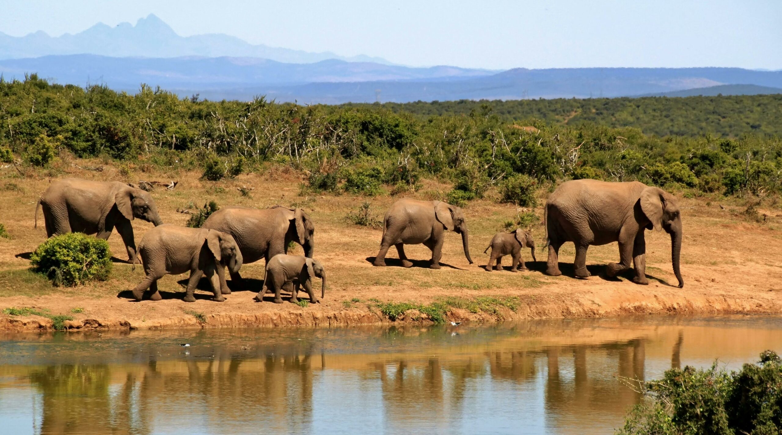 Afrique du Sud